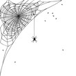 Hand drawn spider web