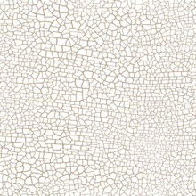 Cracked Seamless Pattern Vector Texture On White Background