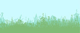 Fototapeta Konie - Grass. Horizontal seamless pattern 