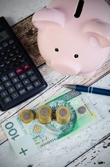 Wall Mural - Polish coins and piggy bank. Calculating savings.