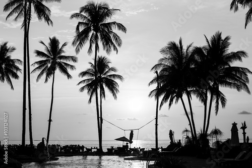 Silhouettes de palmiers sur une plage tropicale, la photographie en noir et blanc Poster Mural XXL
