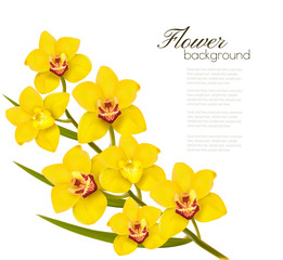 Wall Mural - Holiday yellow flowers background. Vector.