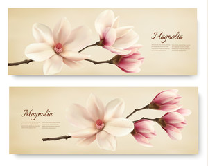 Poster - Two beautiful magnolia banners. Vector.