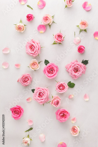 Nowoczesny obraz na płótnie Assorted roses heads. Various soft roses and leaves scattered on a vintage background, overhead view