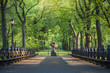 Central Park. Image of The Mall area in Central Park, New York City, USA