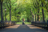 Fototapeta Miasta - Central Park. Image of The Mall area in Central Park, New York City, USA