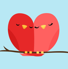 4-rosy-face-lovebirds-birds-free-stock-photo-public-domain-pictures