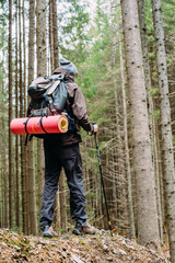 Wall Mural - caucasian male hiking in mountains