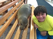 A Boy Smiles Next To A Galapagos Sea Lion On A Bench