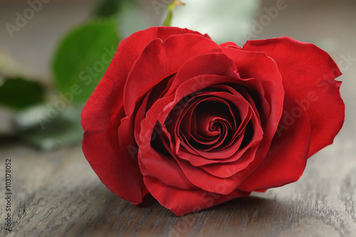 Obraz w ramie single red rose on wooden table