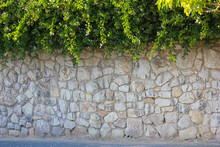 Stone Wall And Green Bushes On Top
