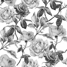 Monochrome Seamless Pattern With Flowers.