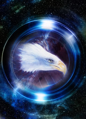 Wall Mural - eagle in cosmic space and light circle. original painting collage. mirror on the planet earth. anima