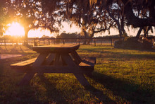 Wooden Picnic Table In Field With Trees At Sunset Sunrise Golden Hour Looking Peaceful Serene Meditative Warm Relaxing Restful