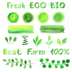 Set of green watercolor organic bio backgrounds, spots, font, lo