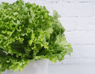 Wall Mural - Fresh salad lettuce leaves on a background of white brick wall horizontal isolated