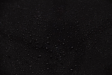 Leinwandbilder - water drops on black