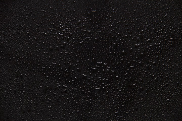 Leinwandbilder - water drops on black