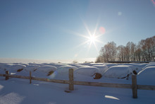 Bales Of Hay In A Winter Field Under The Snow. Haystacks In The Farm