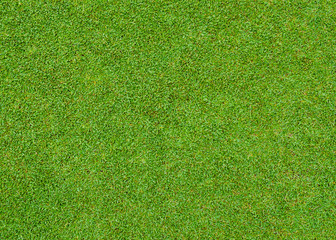 Wall Mural - green grass pattern