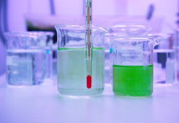Wall Mural - green algea in beaker at laboratory