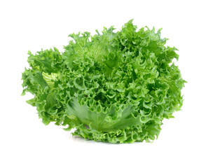 Green lettuce isolated on the white background.