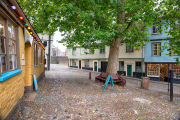 Wall Mural - Elm Hill in Norwich