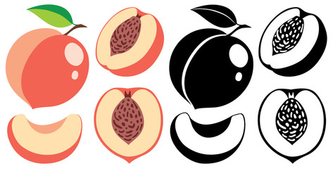 Leinwandbilder - Vector color and monochrome peaches