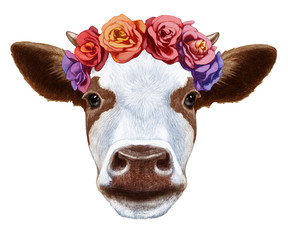 Portrait of Cow with floral head wreath. Hand-drawn illustration, digitally colored.