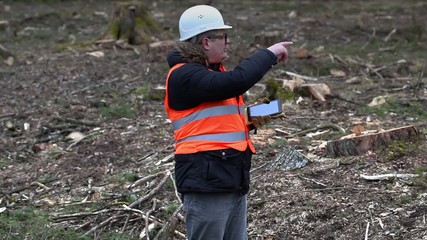 Sticker - Forest inspector using tablet PC at cleared forest
