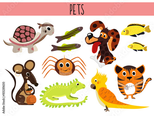 Set Of Cute Cartoon Animals And Birds Pets Turtle Spider Cat Dog Aquarium Fish Iguana Lizard And Parrot Mouse Vector Buy This Stock Vector And Explore Similar Vectors At Adobe,Educational Websites For Teachers