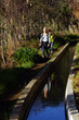 © etfoto - Wanderung an der Levada de Calheta von Prazeres nach Raposeira