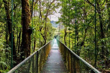 Hanging Bridges in Cloudforest - Monteverde, Costa Rica