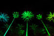 Palm Trees at Night in Miami
Colorful and vibran green LED lights light up palm trees at night in a symmetric shot.