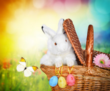 Rabbit In The Basket On Meadow And Easter Eggs
