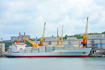 Cargo crane and ship