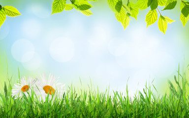 Fototapete - Abstract sunny spring background