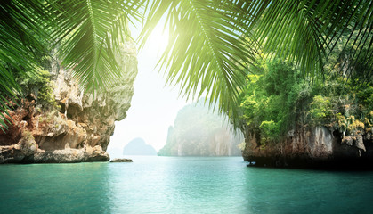 Wall Mural - tropical sea and rocks