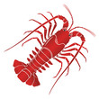 Vector boiled spiny or rock lobster