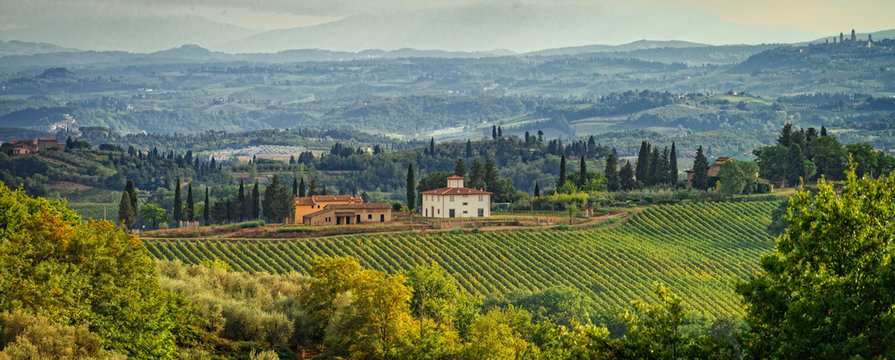 fields in tuscany