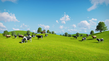 herd of cows graze on the open green meadows at spring day. realistic 3d illustration.