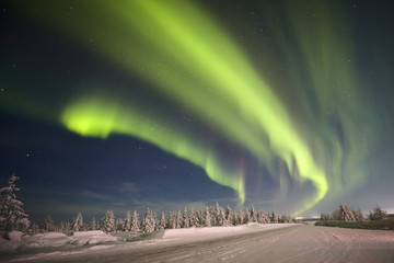 winter night landscape with forest, road and northern light over the scene