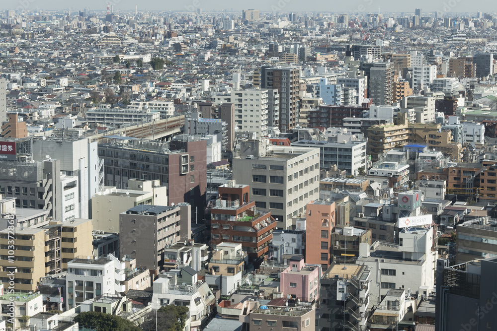 東京都市風景 俯瞰 練馬区 板橋区 住宅街 マンションと戸建てが密集 Nowy Jork Obrazy Na Plotnie Ecowall24 Pl