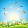 Spring or summer landscape with green grass, flowers and butterflies
