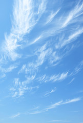 Wall Mural - blue sky