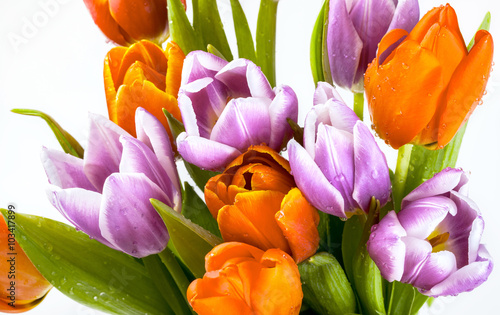 Fototapeta na wymiar Beautiful bouquet of purple and red tulips isolated on white background