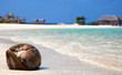 Nahaufnahme einer Kokosnuss am Strand der Malediven