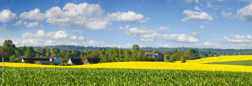 Wiosenne pola,widok na wieś. - obrazy, fototapety, plakaty 