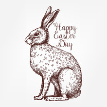 Vector Vintage Design With Ink Hand Drawn Easter Sketch For Greeting Card Or Invitation. Decorative Hare Portrait.