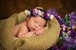 © Yarkovoy - Beautiful newborn baby girl with a purple wreath sleeps in a wicker basket